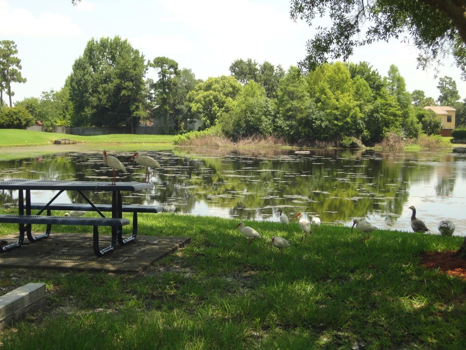 ALAFAYA WOODS PH 04 - Residential Lease