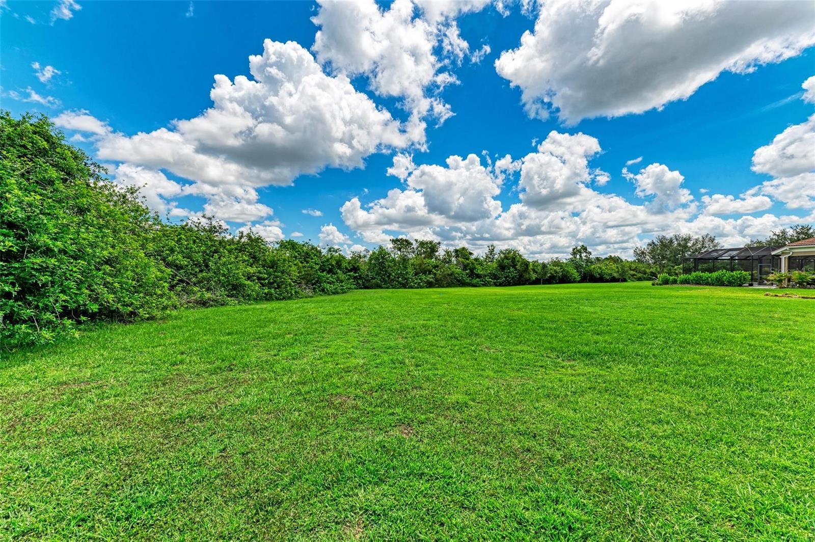 PRESERVE AT PANTHER RIDGE PH III - Residential