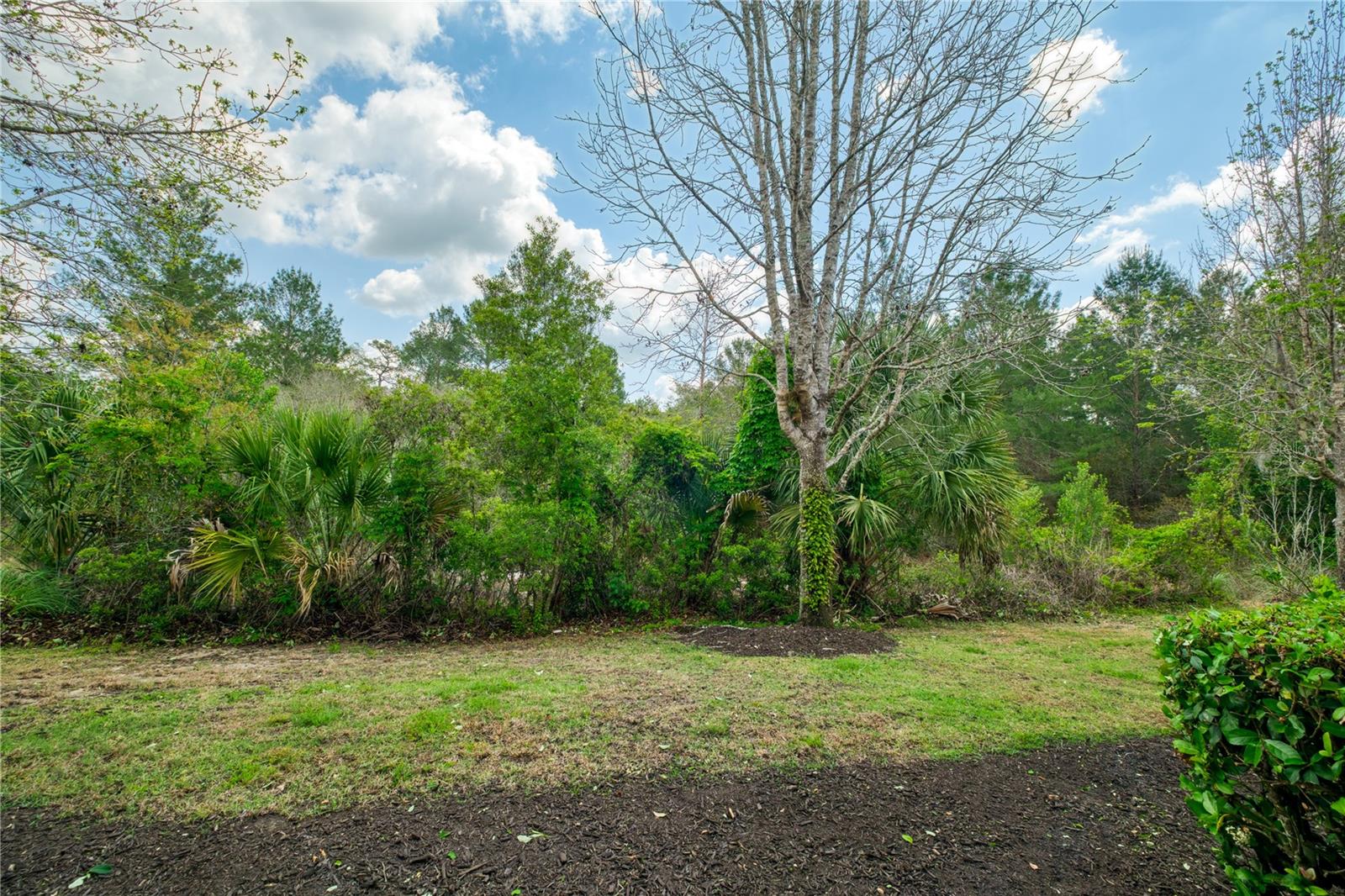 REUNION PH 1 PRCL 2 - Residential