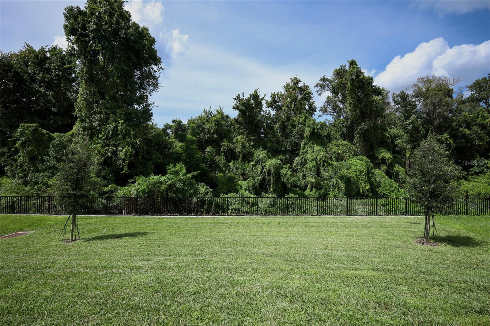 FRANCISCO PARK - Residential
