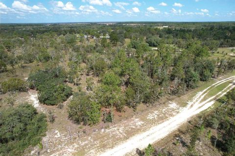 10050 SE 136TH TERRACE DUNNELLON FL 34431