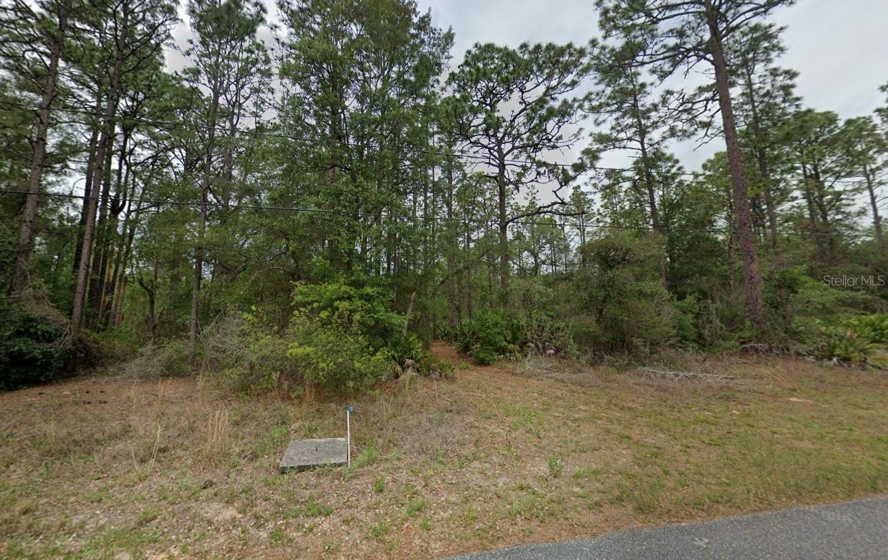 Wonderful opportunity to own a 0.23-acre lot in the growing community of Citrus Springs. This paved-road property is zoned Planned Residential Development (PDR), allowing for a single-family home with accessory structures. Utilities include public water and power at the road, with septic required. Nestled in a quiet neighborhood yet close to area attractions like the Withlacoochee Backwaters, Crystal River, and Sholom Park, this lot offers both tranquility and convenience. Perfect for building your Florida home or holding as a smart investment for the future. Buyer to confirm all zoning and utility requirements with Citrus County.