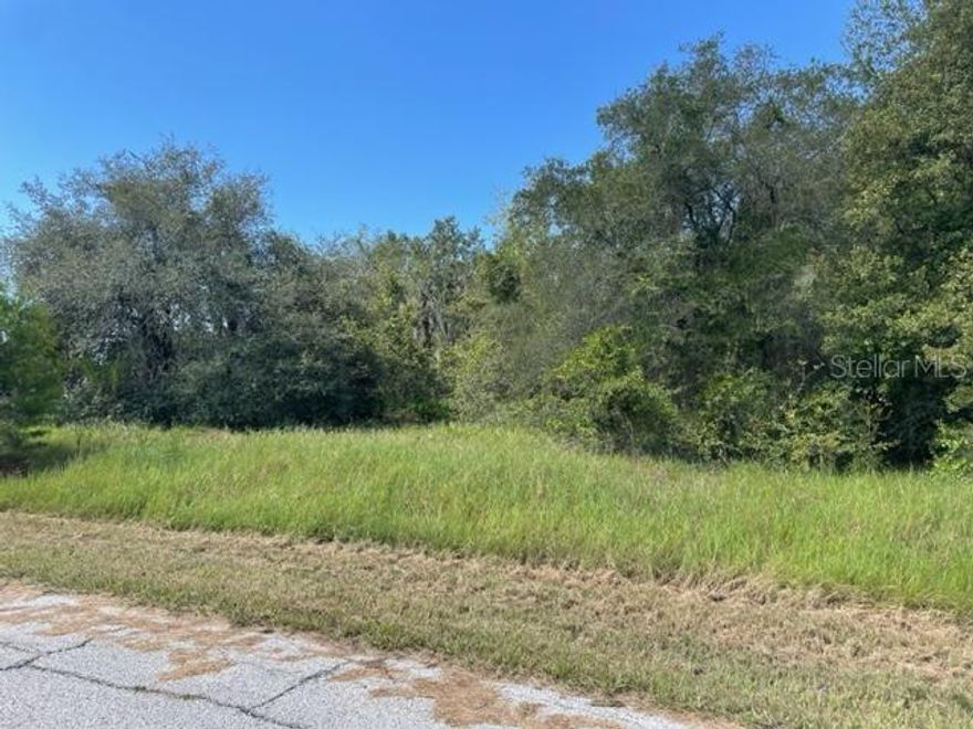 PRICE REDUCED!!!  BUILD YOUR DREAM HOME! Corner Lot, 60X136X120X101 with side easement. Established area in Poinciana Village 2 ready to build. Public utilities with Toho Water and sewer. New convivence store and gas station around a couple blocks for your quick shopping needs. This property is close to Medical Center, shopping plazas, banks, restaurants, parks, schools and major attractions in Central Florida. Legoland, Disney, Universal Studios, SeaWorld and so much more. Lots of newer constructions around but this is large lot for your beautiful new home. This community of Poinciana encompasses both Polk and Osceola County and is perfectly nestled between Haines City and Kissimmee. Seller says sell fast!