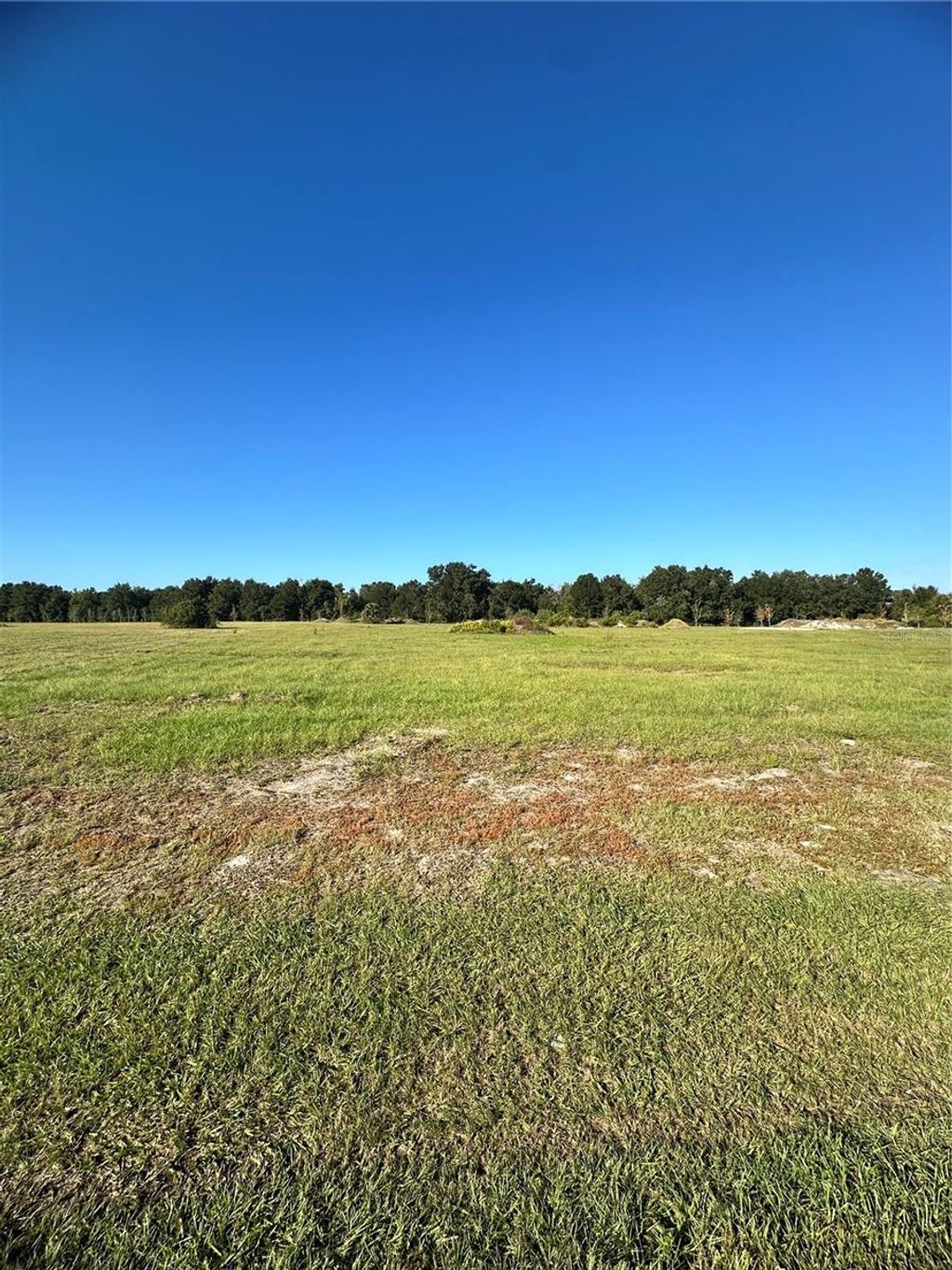 Photo of 38793 Ranch Gate Boulevard, Umatilla, FL 32784 (MLS # G5103556)