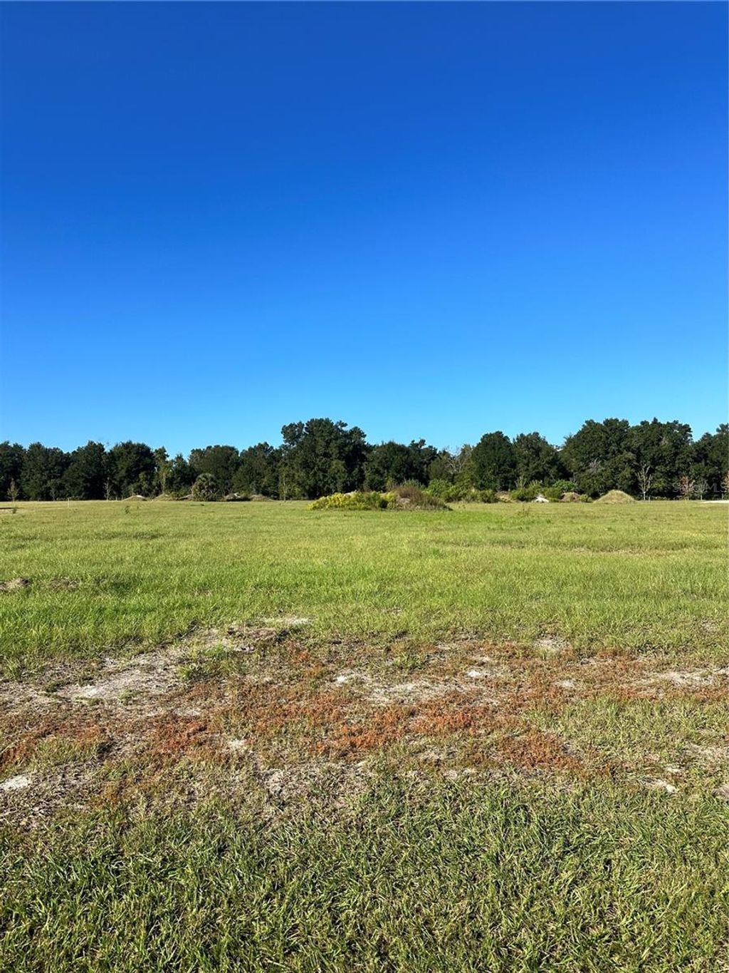 Photo of 38793 Ranch Gate Boulevard, Umatilla, FL 32784 (MLS # G5103556)