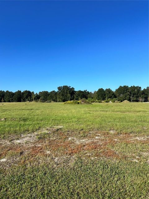 Photo of 38793 Ranch Gate Boulevard, Umatilla, FL 32784 (MLS # G5103556)