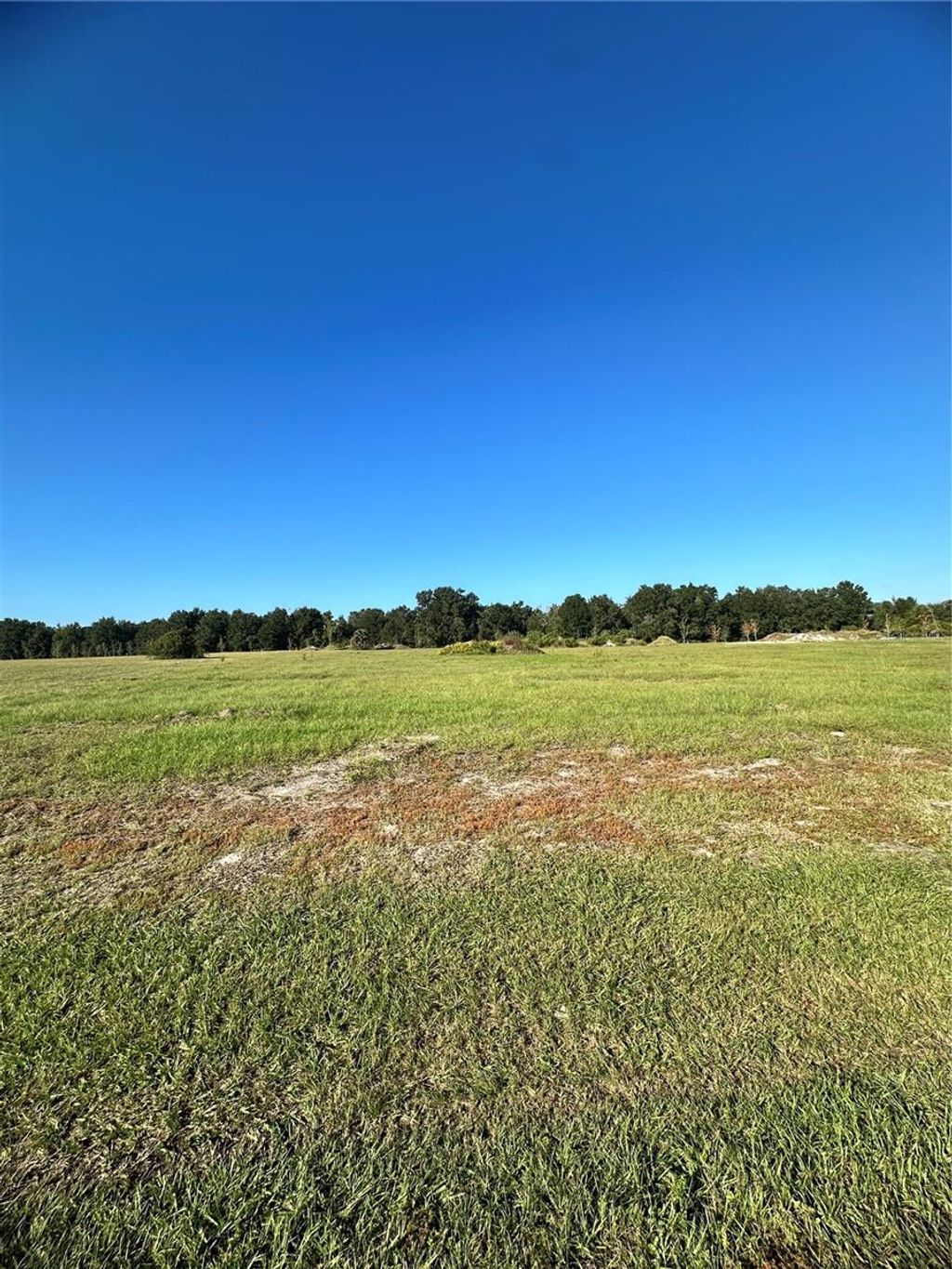 Photo of 38793 Ranch Gate Boulevard, Umatilla, FL 32784 (MLS # G5103556)