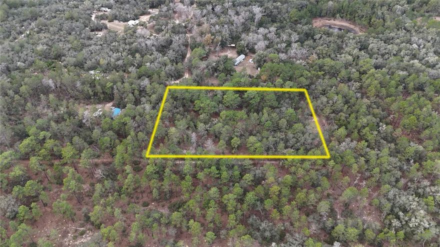 Beautiful 5-acre parcel of high, dry upland featuring mature pine trees and native palmetto, with Ocala National Forest frontage on two side. This property is a rare and highly desirable setting, offering privacy, natural beauty, and direct access to thousands of acres of protected land. Ideal for hunting, shooting sports, or outdoor recreation, with ample space and surroundings that support a true rural lifestyle. It is well suited for hunting, shooting, livestock, horses, and trail riding, with endless riding and exploring opportunities right out your back gate. A great location for those seeking peace, seclusion, and outdoor freedom, while still being within reasonable distance to town amenities. Whether you’re looking for a recreational retreat, homestead site, or investment in prime Florida land, this property checks all the boxes.