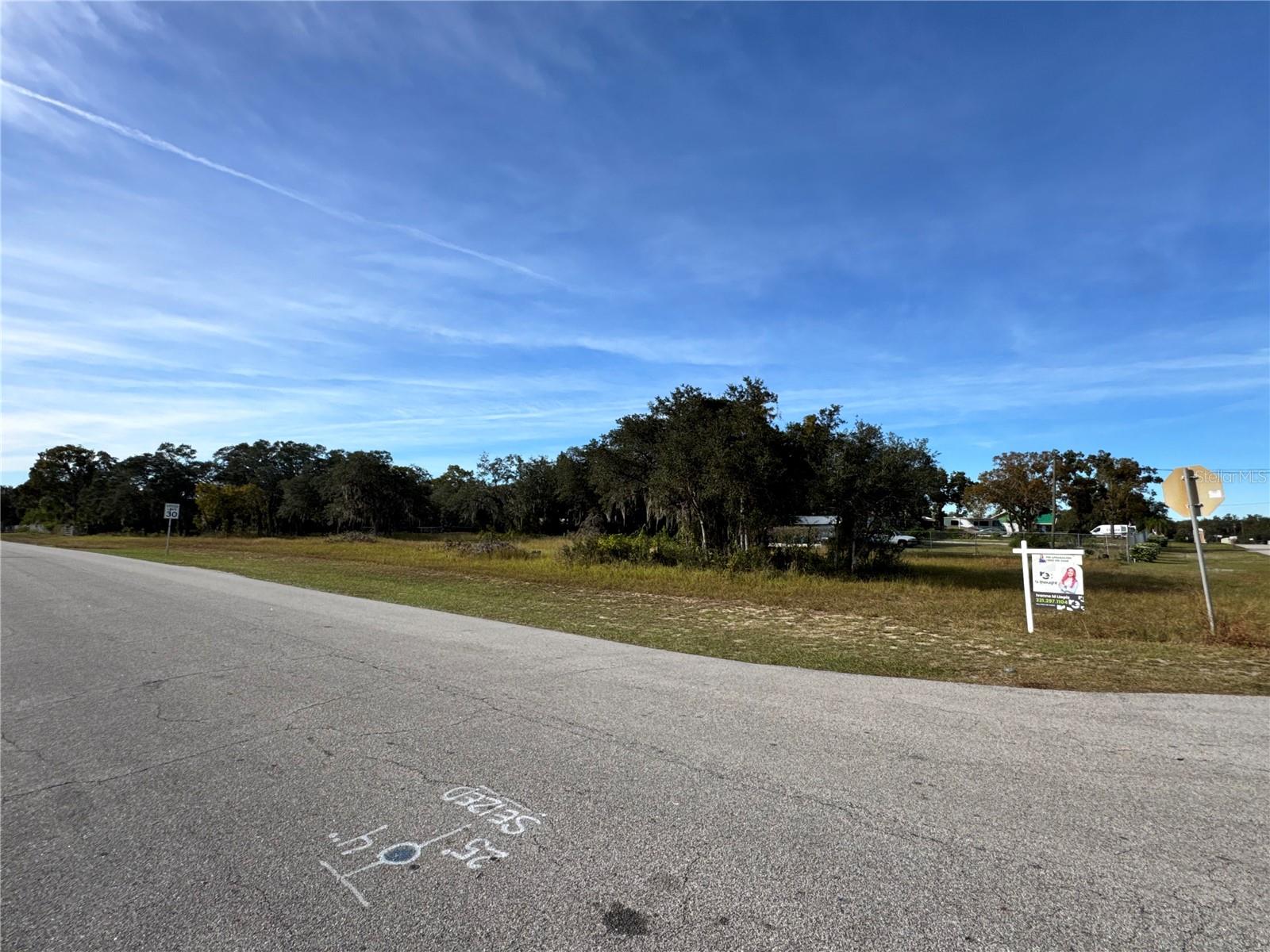 LAKE PIERCE RANCHETTES SECOND ADD - Land