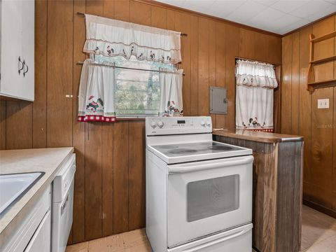 Tiny photo for 4935 SW 124th Ln, Webster, FL 33597 (MLS # G5115325)