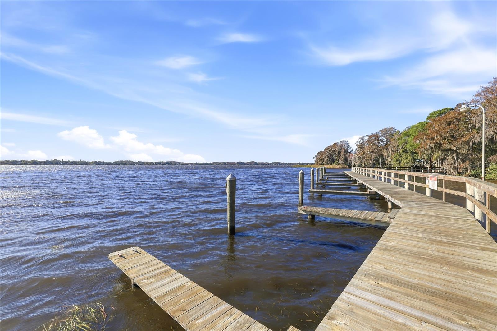 CARLYLE - Residential