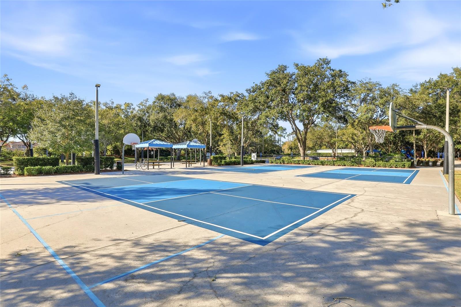 CARLYLE - Residential