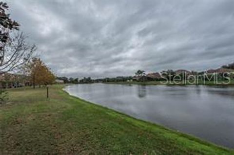 A home in RIVERVIEW