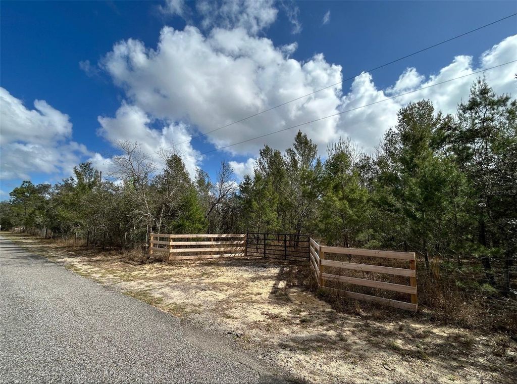 Photo of 0 Black Bear Lane, Winter Garden, FL 34787 (MLS # O6388194)