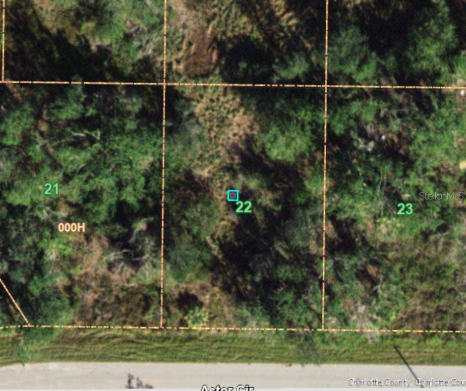looking for a home site in a quiet area of Punta Gorda? this lot is ready for your dream home or investment! Feature NO FLOOD ZONE AREA, Electricity nearly and paver road. Bring all your toy, many floor plans available upon request. Close proximity to all the great amenities the city has to offer such as shopping, entertainment, restaurants, and much more! Great area for the avid outdoorsman or nature lovers alike! World-class fishing, golfing, beaches, beautiful rivers and so much more! come get your piece of Florida dreamland.