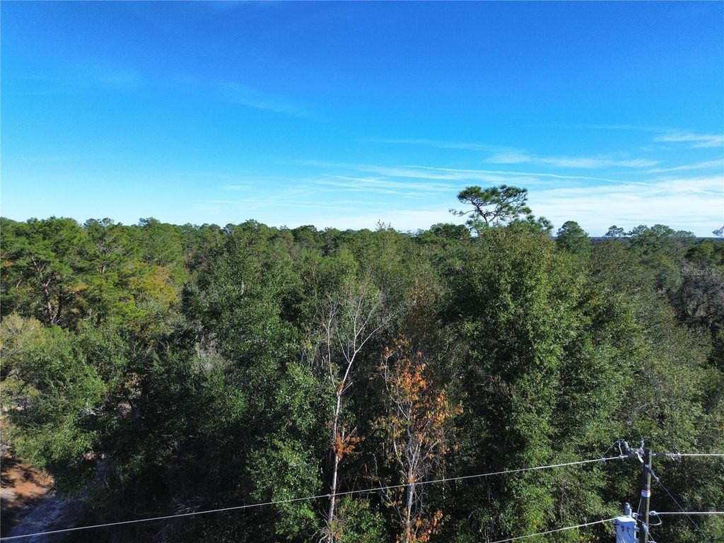 Photo of 0 SE 178th Avenue, Silver Springs, FL 34488 (MLS # OM715156)