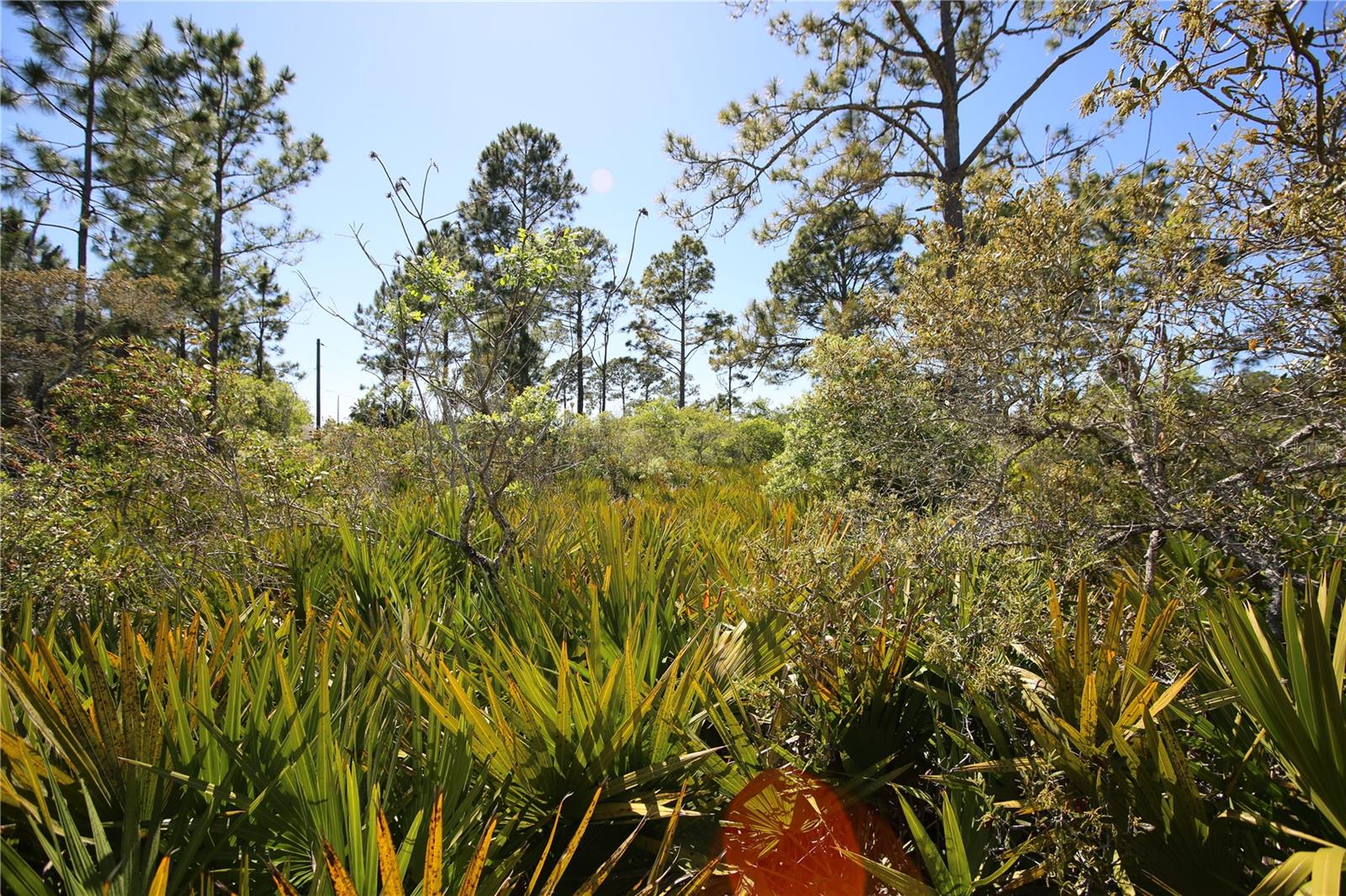 PALM COAST SEC 58 - Land