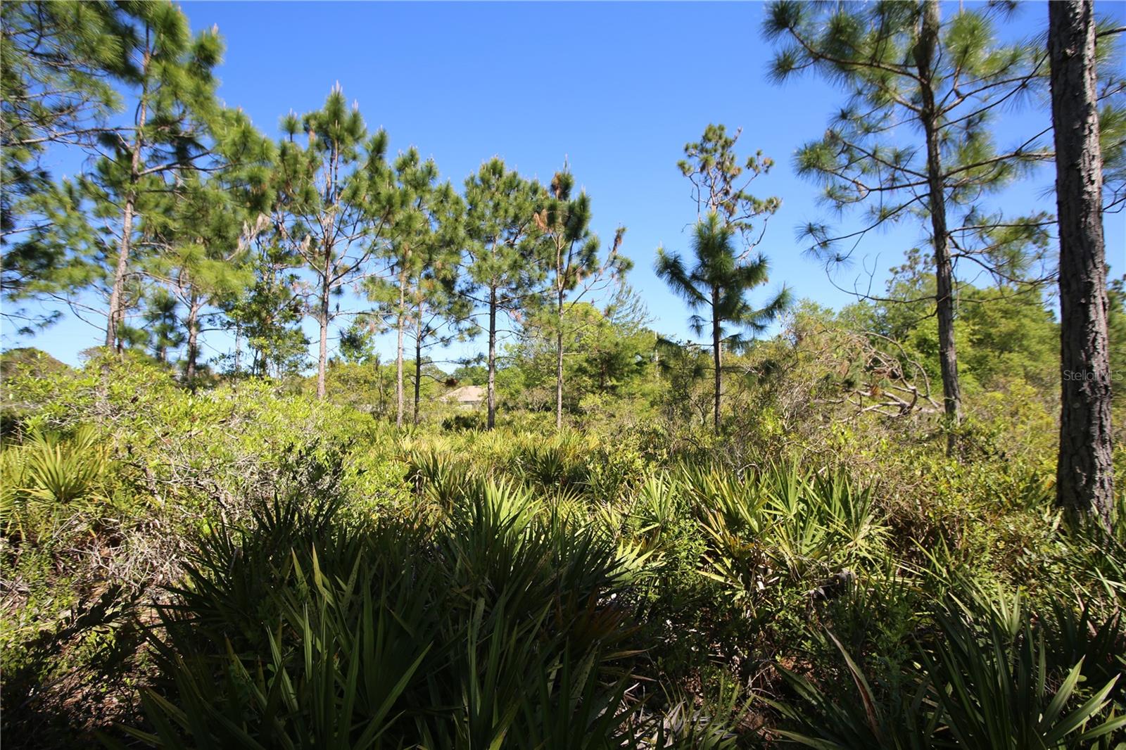 PALM COAST SEC 58 - Land