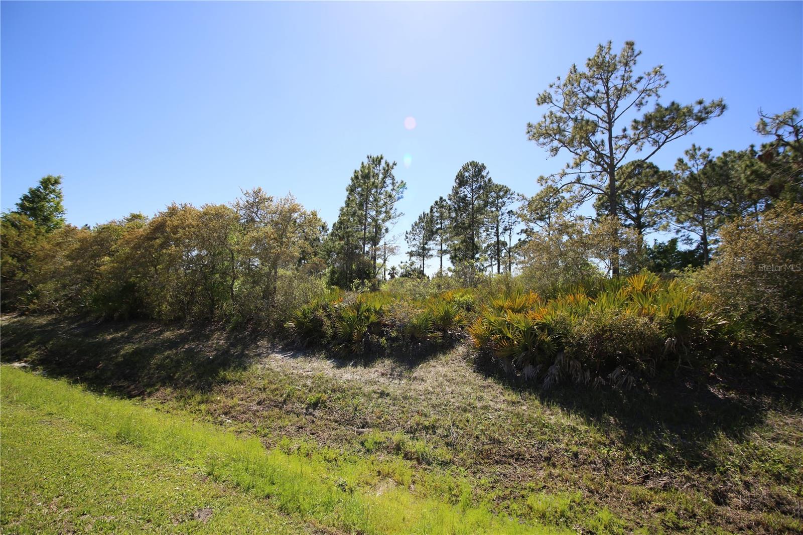 PALM COAST SEC 58 - Land