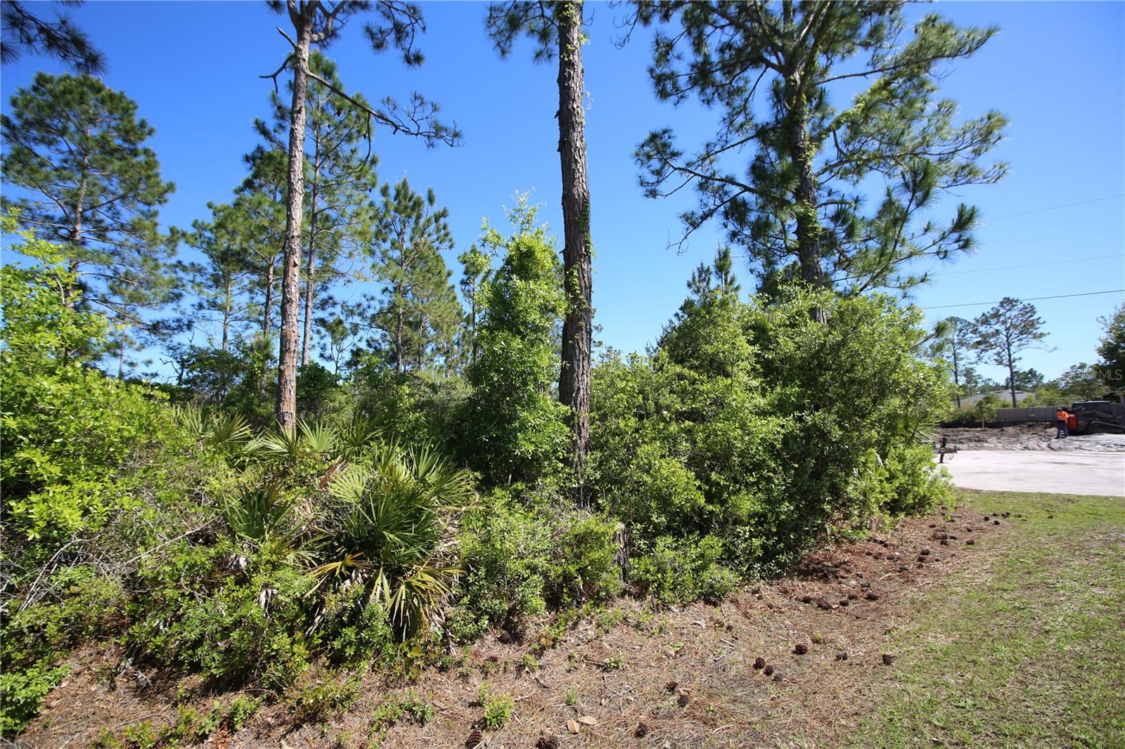 PALM COAST SEC 58 - Land