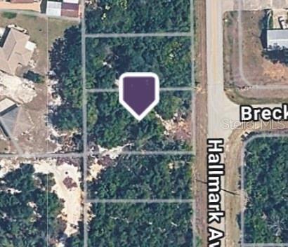 Photo of 228 Hallmark Avenue, Lake Placid, FL 33852 (MLS # TB8556816)