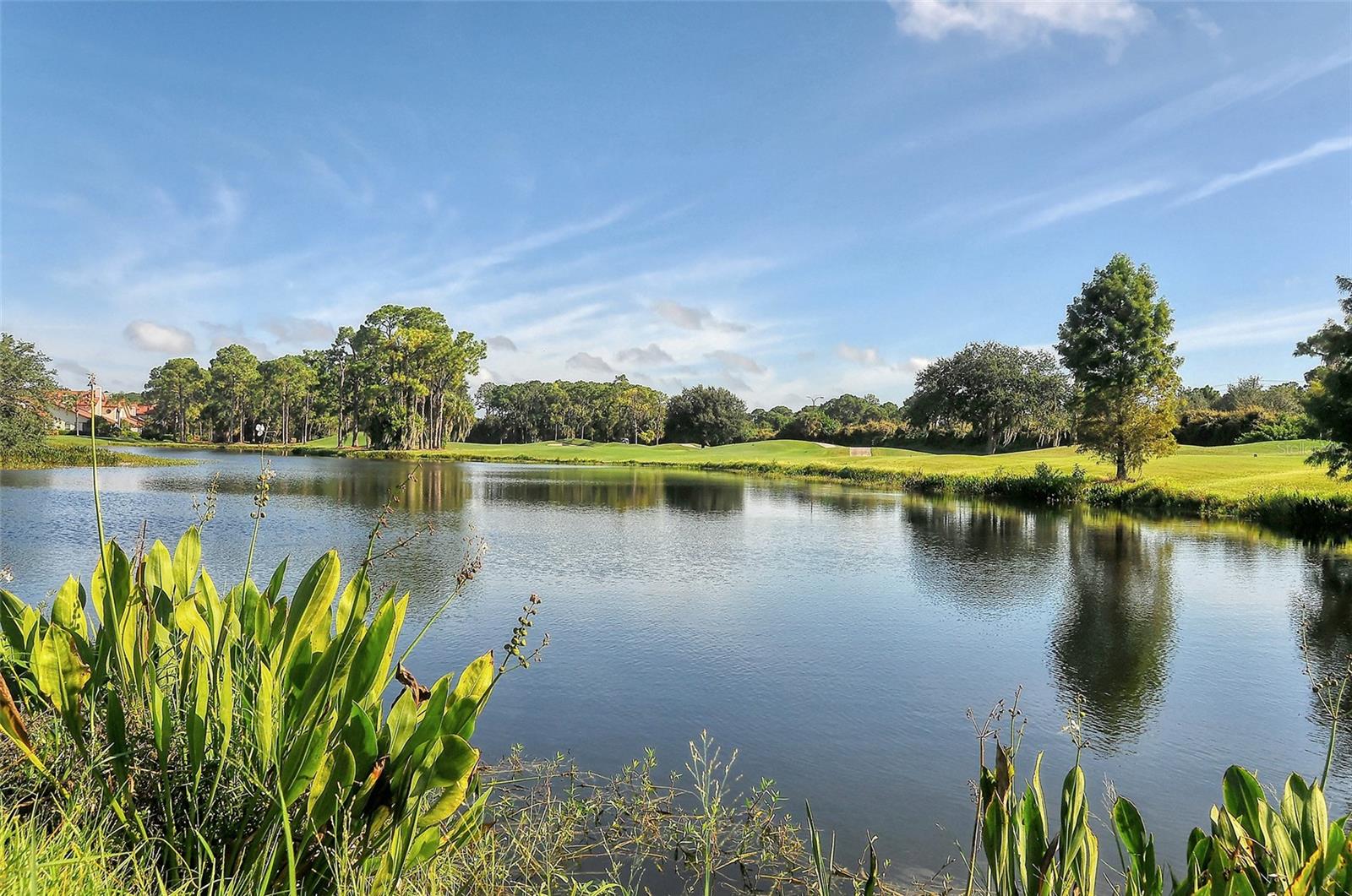 PRESTANCIA/VILLA PALMERAS - Residential