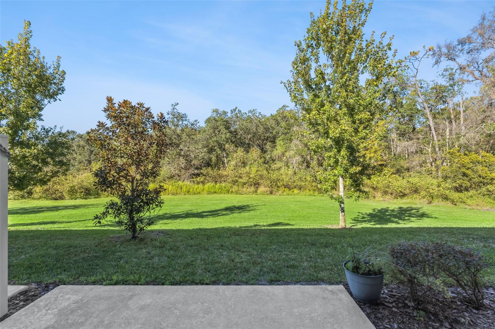 WOODLAND PARK PH 10 - Residential