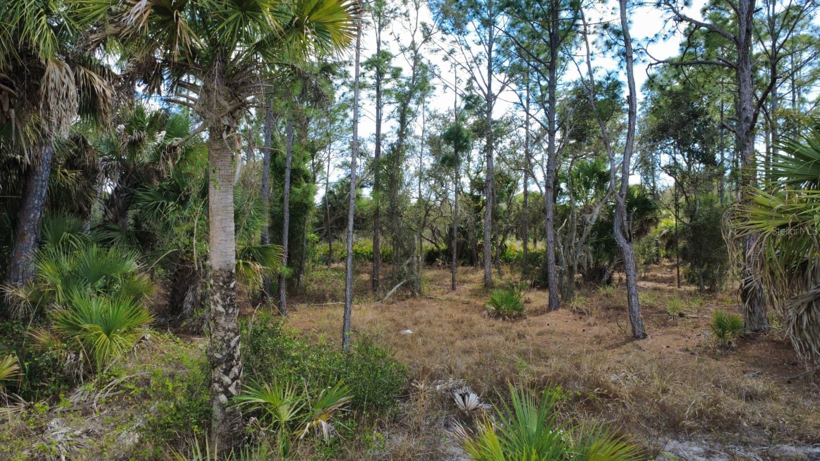 PORT CHARLOTTE SEC 031 - Land