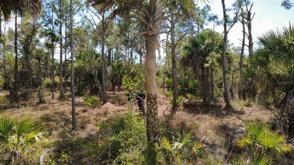 Photo of 17455 Bly Avenue, Port Charlotte, FL 33948 (MLS # N6143115)