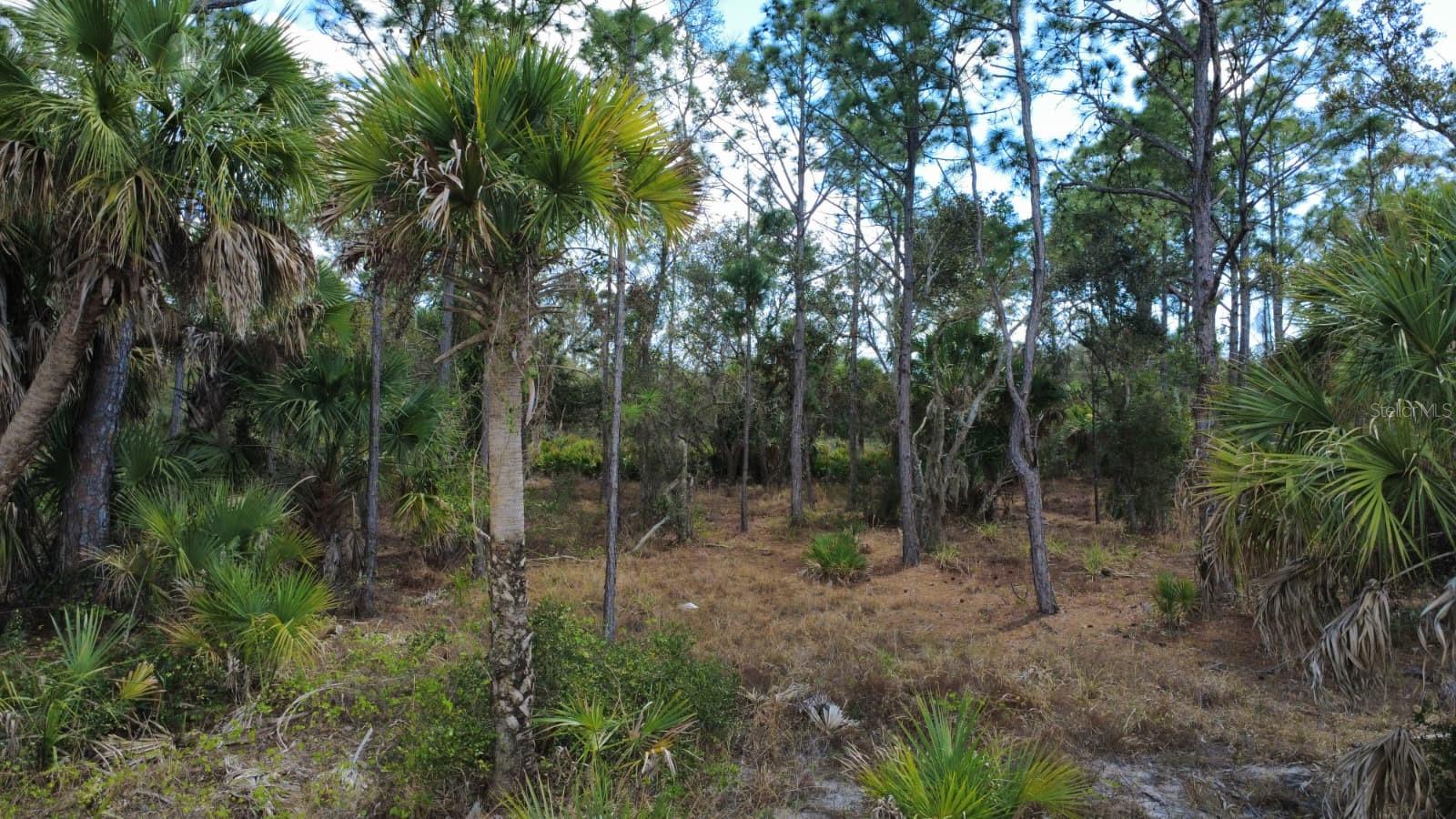 PORT CHARLOTTE SEC 031 - Land