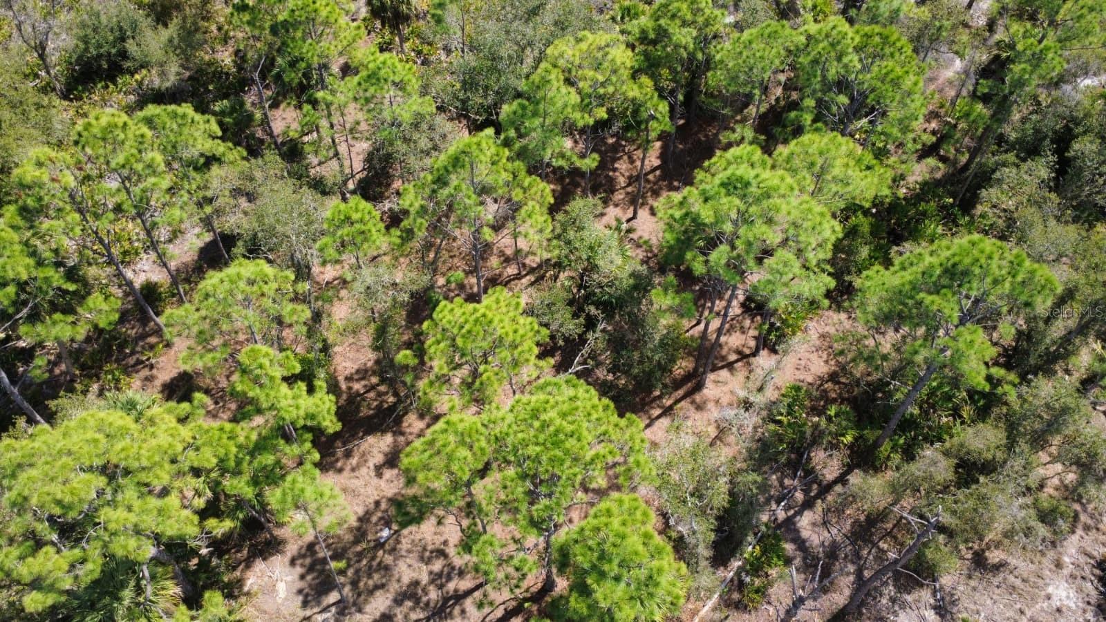 PORT CHARLOTTE SEC 031 - Land