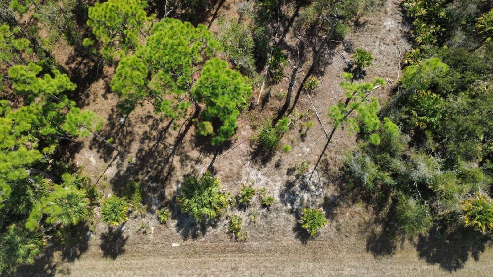 PORT CHARLOTTE SEC 031 - Land