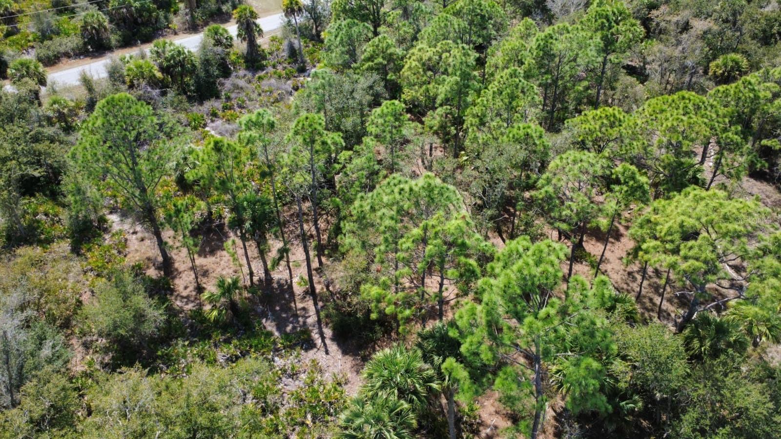 PORT CHARLOTTE SEC 031 - Land