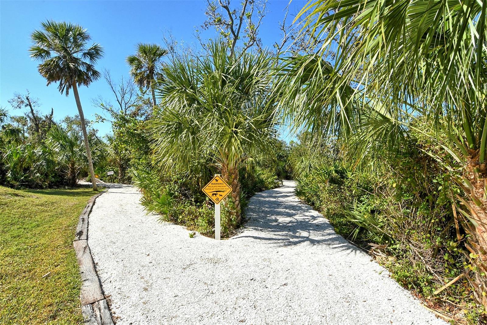 RIVA TRACE - Residential