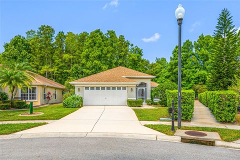Photo of 7740 Craighurst Loop, Trinity, FL 34655 (MLS # TB8516047)