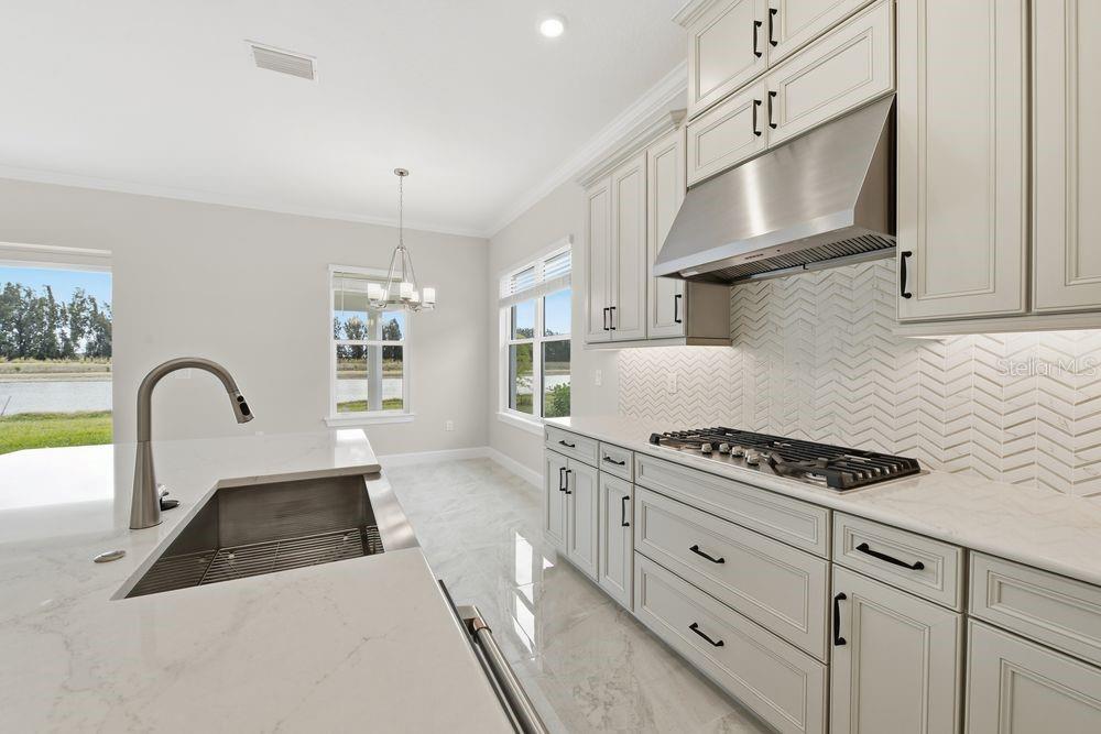 ESPLANADE AT SKYE RANCH - Residential