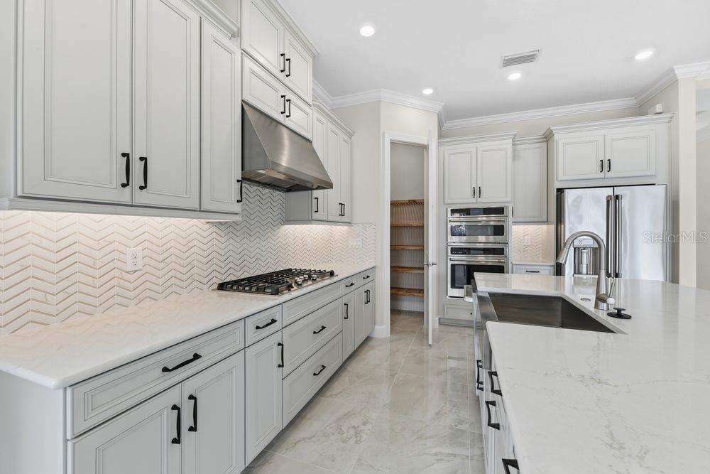 ESPLANADE AT SKYE RANCH - Residential