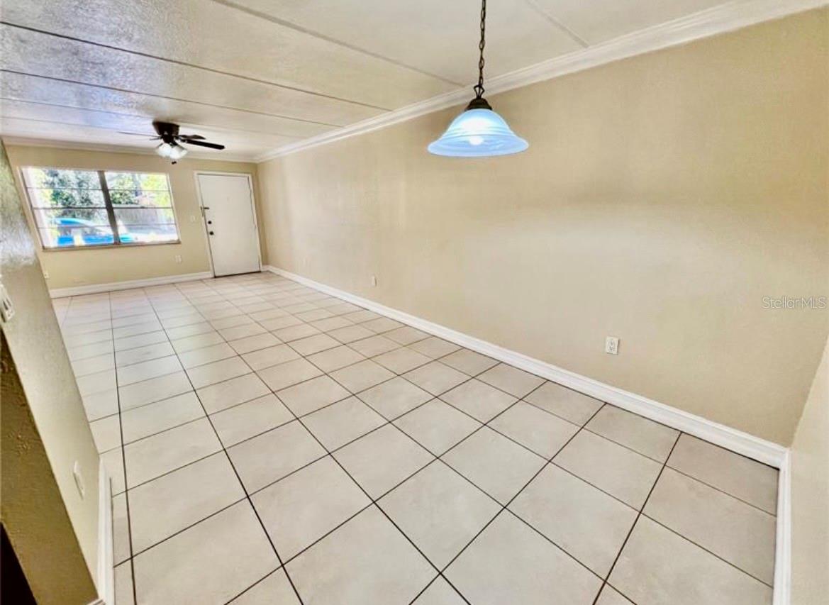 5221 BAYSHORE BOULEVARD 29