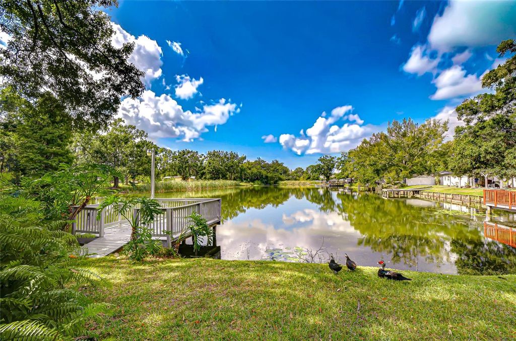 Photo of 8120 N Albany Avenue, Tampa, FL 33604 (MLS # TB8447320)