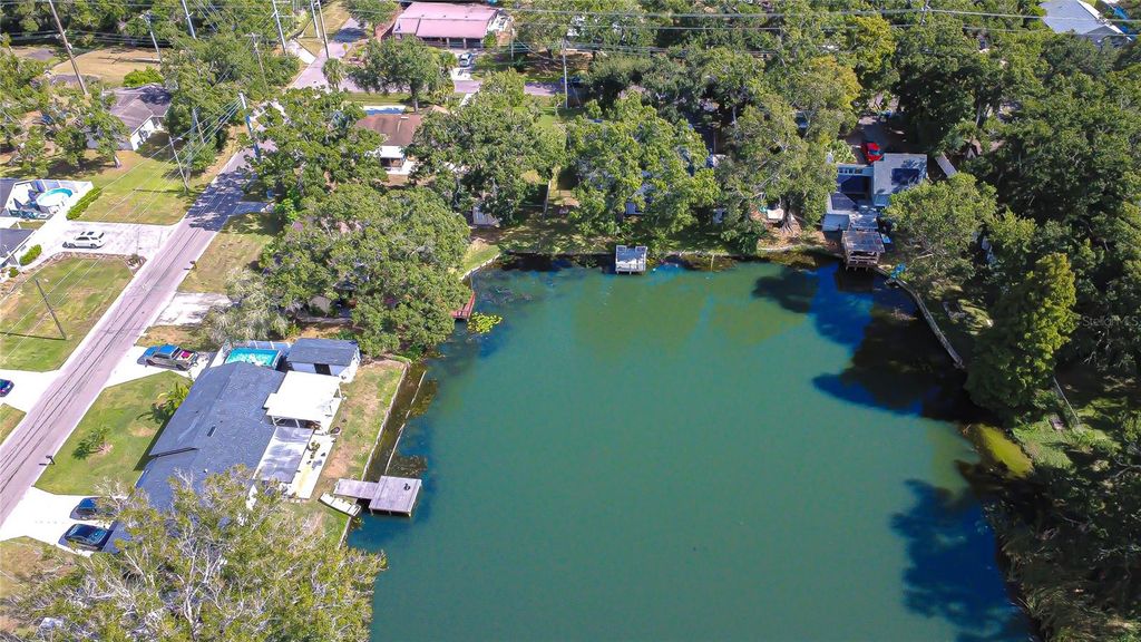 Photo of 8120 N Albany Avenue, Tampa, FL 33604 (MLS # TB8447320)