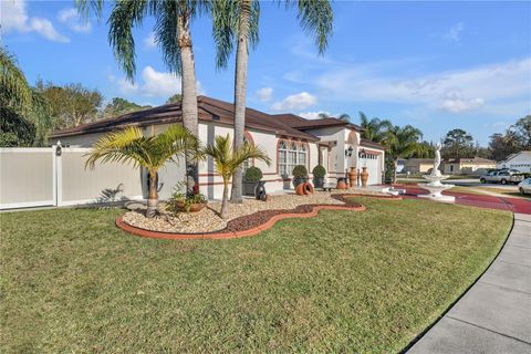 A home in KISSIMMEE