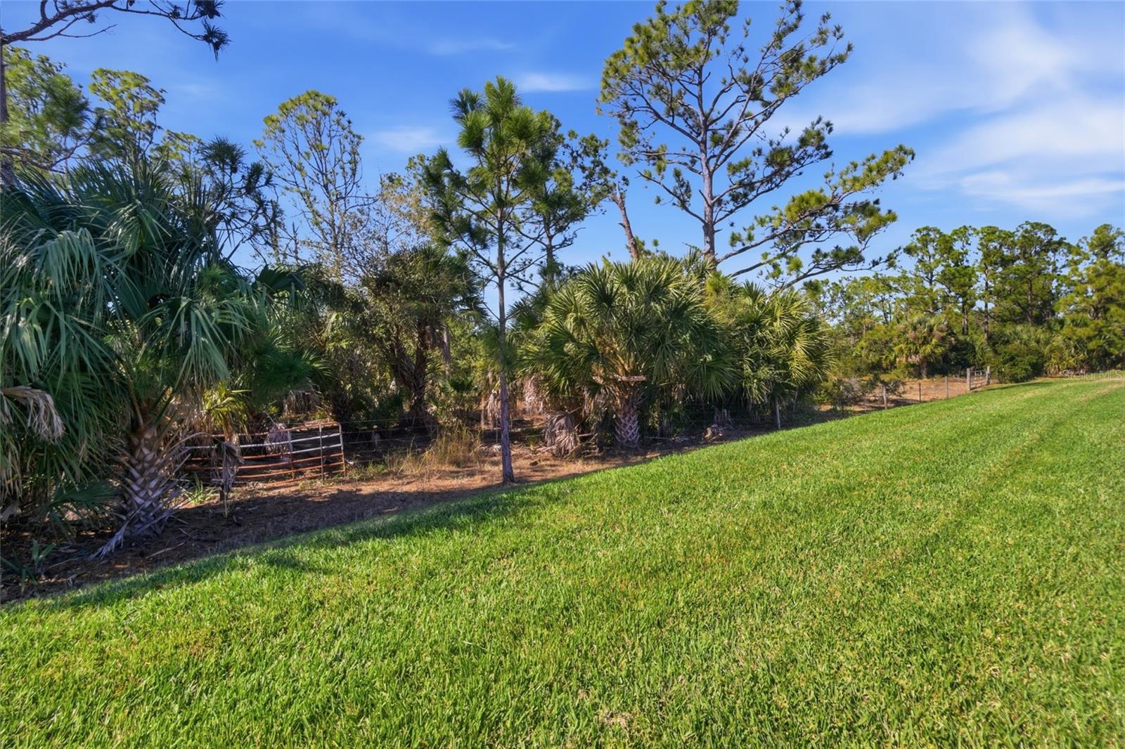 CEDAR GROVE PH 2B - Residential