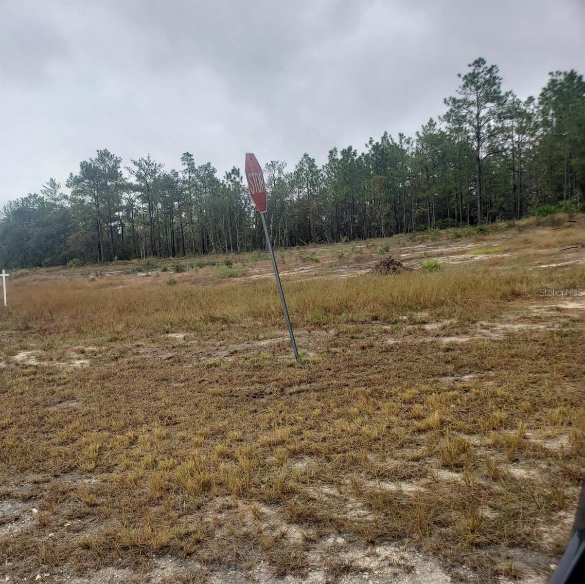 ROYAL HIGHLANDS - Land