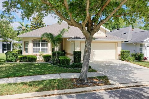 A home in PALM COAST