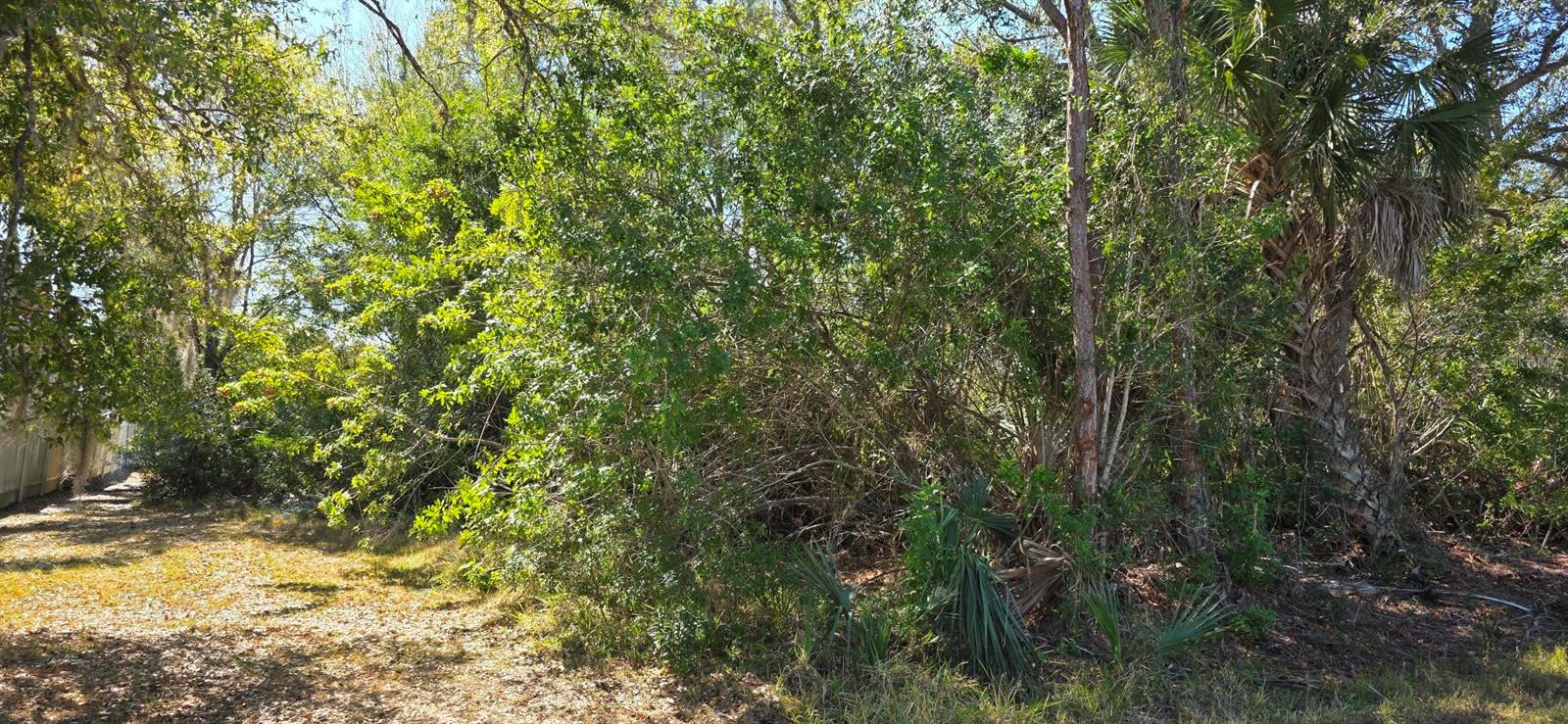 23429 WICKENS AVENUE