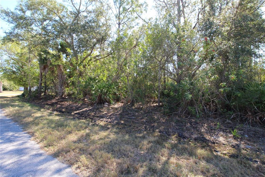 Photo of 23429 Wickens Avenue, Punta Gorda, FL 33980 (MLS # C7521645)