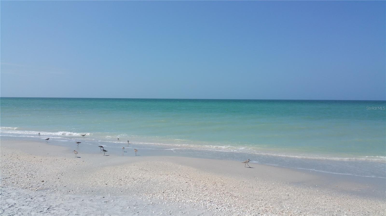 PORT CHARLOTTE SEC 013 - Land