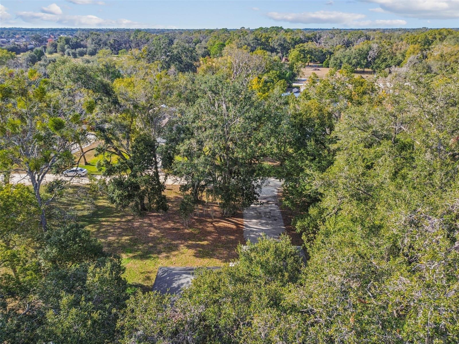 MASARYKTOWN - Residential