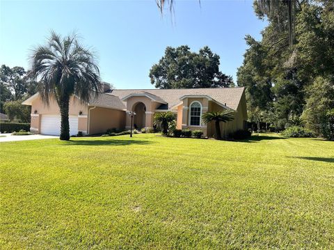 19176 SW 93RD LOOP DUNNELLON FL 34432