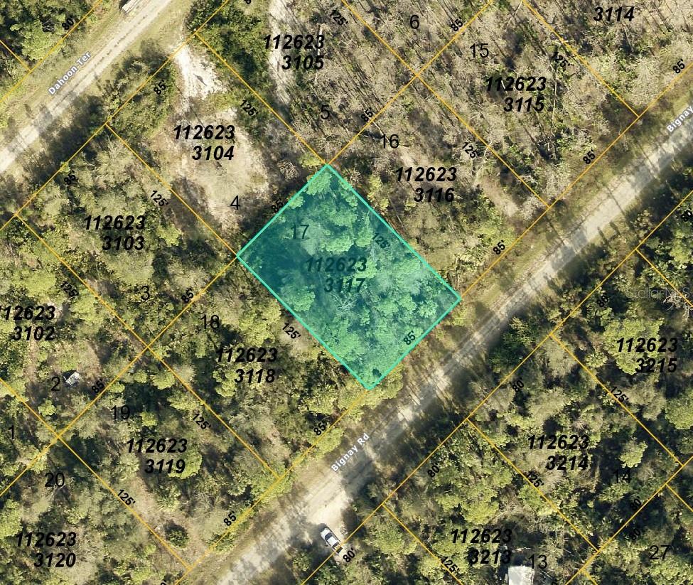 Check out this slightly oversized .24 acre lot in growing North Port, ideal for your future home or investment, located in preferred flood zone X!